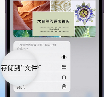 贵州apple维修中心分享iPhone文件应用中存储和找到下载文件