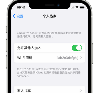 贵州apple服务站点分享iPhone上个人热点丢失了怎么办 