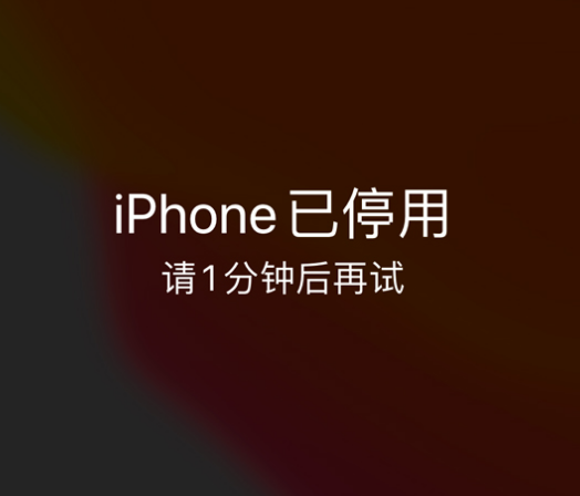 贵州苹果手机维修分享:iPhone 显示“不可用”或“已停用”怎么办？还能保留数据吗？ 