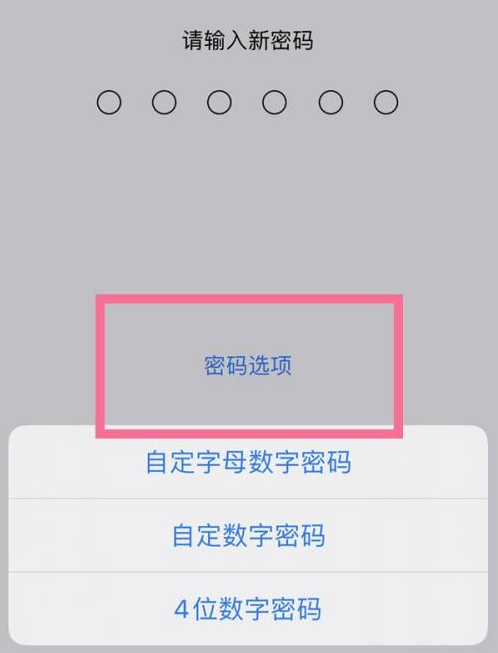 贵州苹果14维修分享iPhone 14plus设置密码的方法 