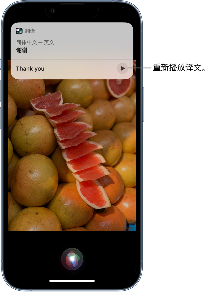 贵州苹果14维修分享 iPhone 14 机型中使用 Siri：了解 Siri 能帮你做什么 