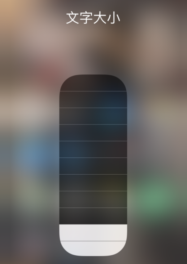 贵州苹果手机维修分享小技巧：在 iPhone 控制中心快速调节字体大小 
