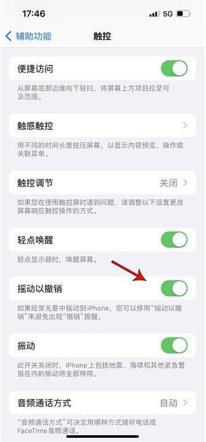 贵州苹果手机维修分享iPhone手机如何设置摇一摇删除文字 