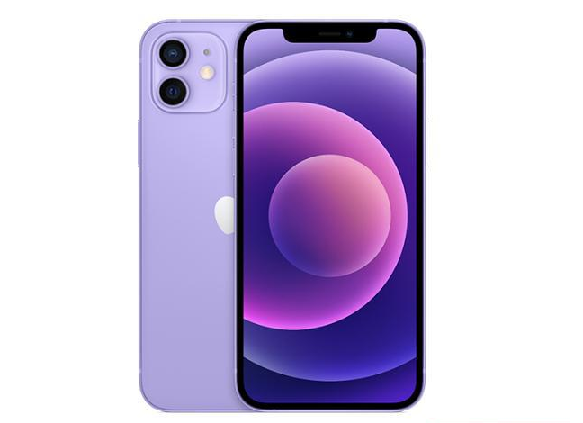 贵州苹果手机维修分享现阶段要不要入手紫色版iPhone12 